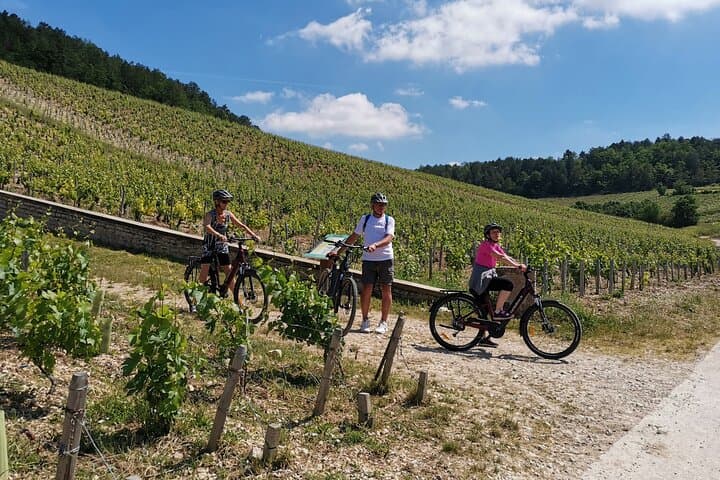In the Chablis Grand Cru