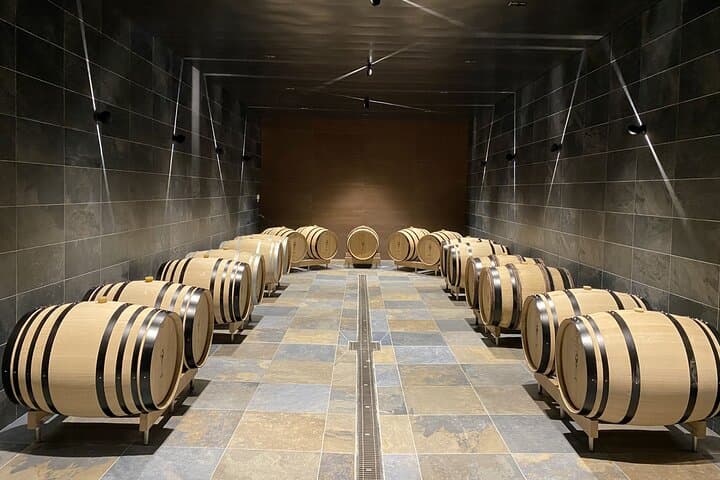 Winery visit and tasting Champagne Domaine Coutant