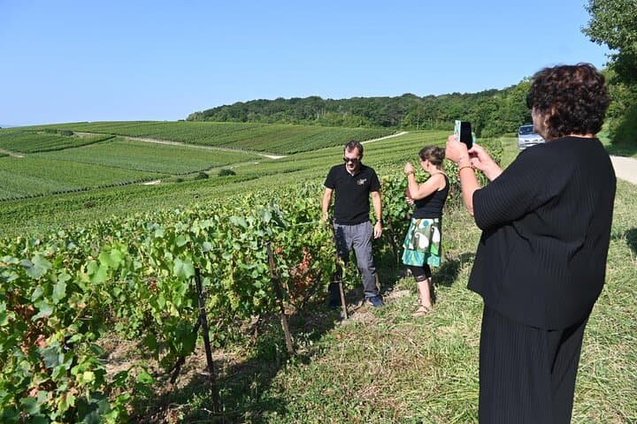 Winery visit and tasting Champagne Domaine Coutant