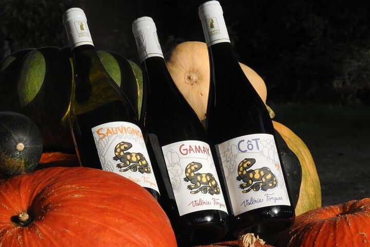 vins DE la Méchinière
