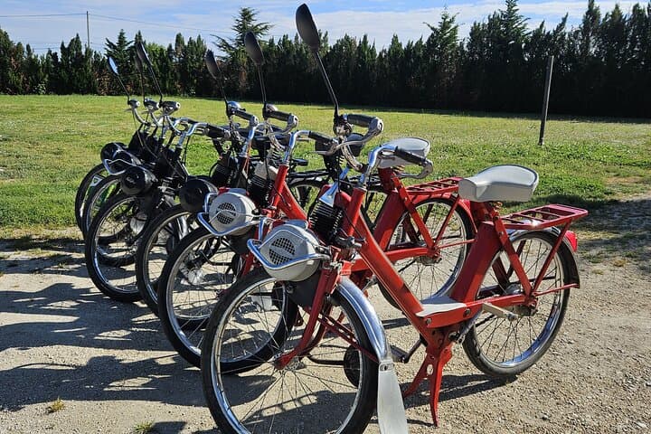 Solex_vignes_activite_plein_air