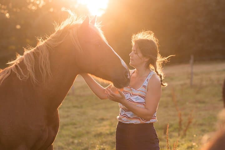 Equine coaching in Normandy Whispering in the ears of horses