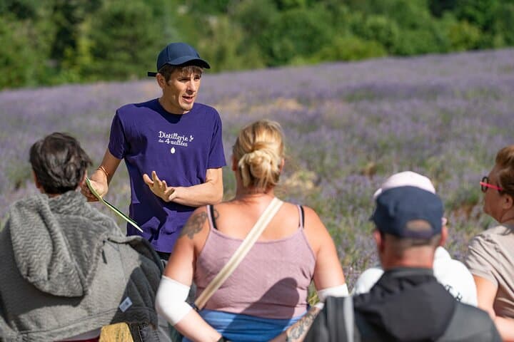 Educational stop on the culture and ecology DE lavender along the route.