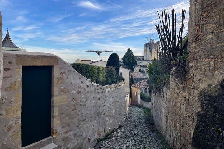 From Bordeaux Half day in Saint-Emilion EN Van Privatif