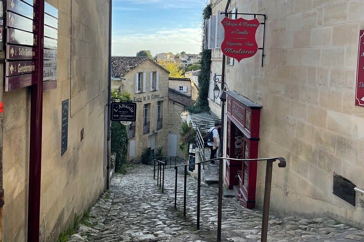 From Bordeaux Half day in Saint-Emilion EN Van Privatif