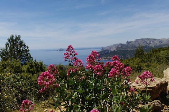 Private Riviera Blend Tour from Marseille - 12 Hours