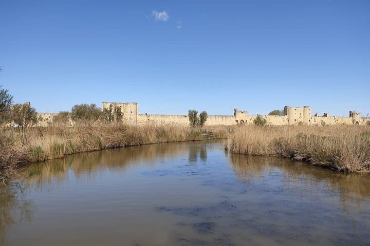 Private full day Camargue and Aigues-Mortes tour