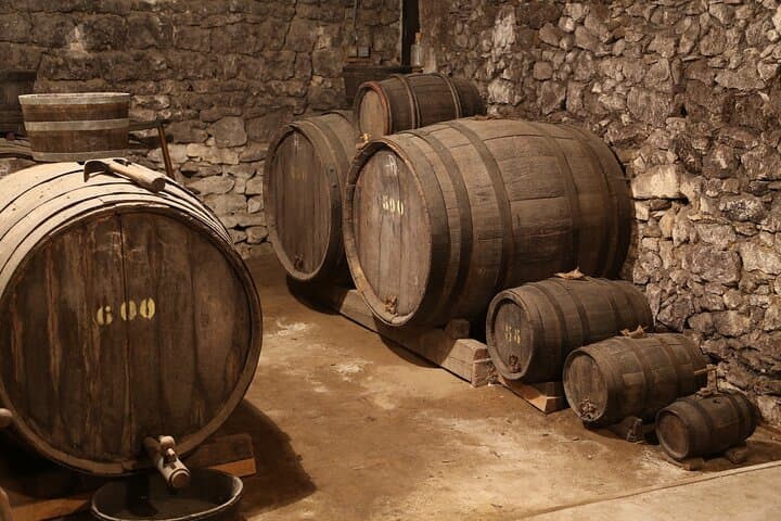 Visit Château Nodot and discover biodynamic viticulture