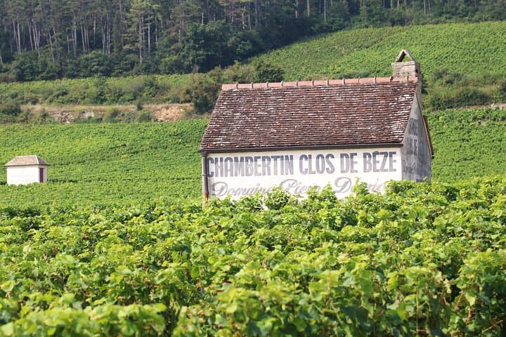 Private tasting experience Check-out from Dijon or Beaune
