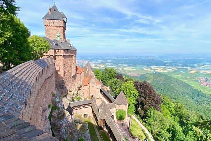 7 day Paris Must-Do Burgundy Champagne Culture Wine Small Group15