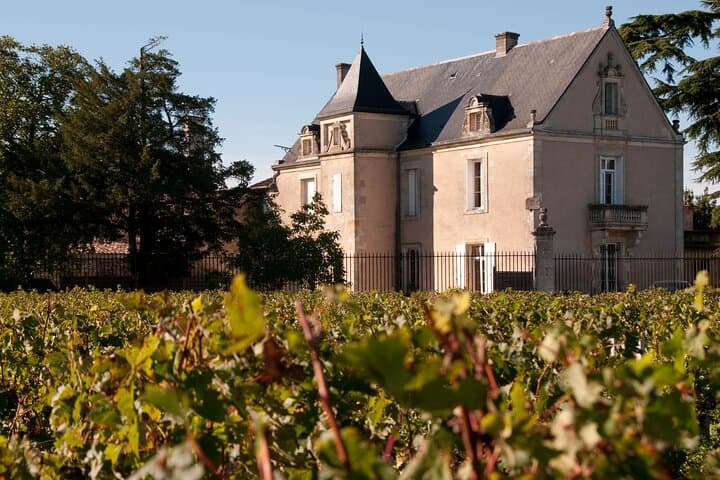 Wine Tour Médoc the castle road, visits and tastes