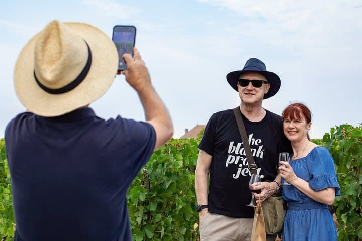 From Bordeaux: Pessac-Leognan Wine Tasting and Morning Tour
