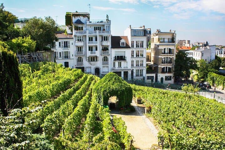 Guided tour of Montmartre, the bohemian soul of Paris
