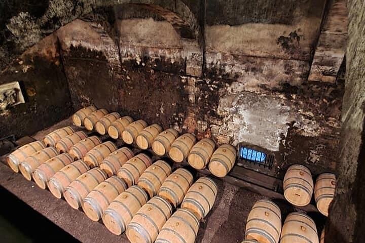Bordeaux: Wine Tour and Tasting