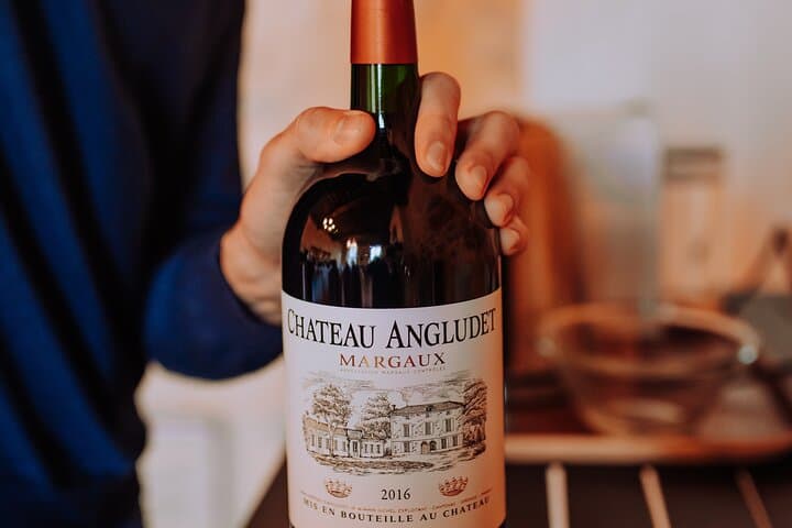 Bordeaux Prestige Tour 18th Century City Tour and Wine Tasting