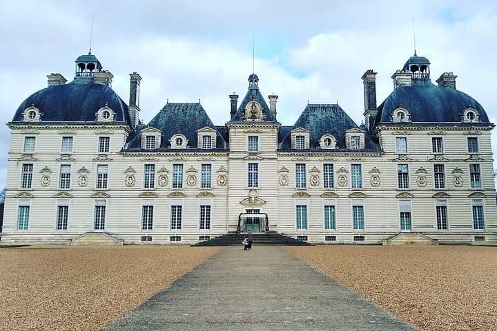 Loire Valley Castles Guided Tour with Transportation