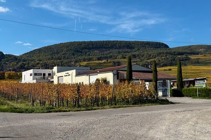 Gourmet tasting DE Christmas at Domaine GUETH