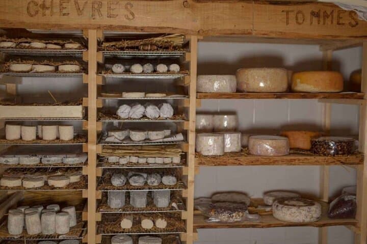 Cheese