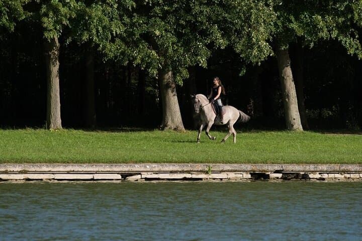 One day at Versaille