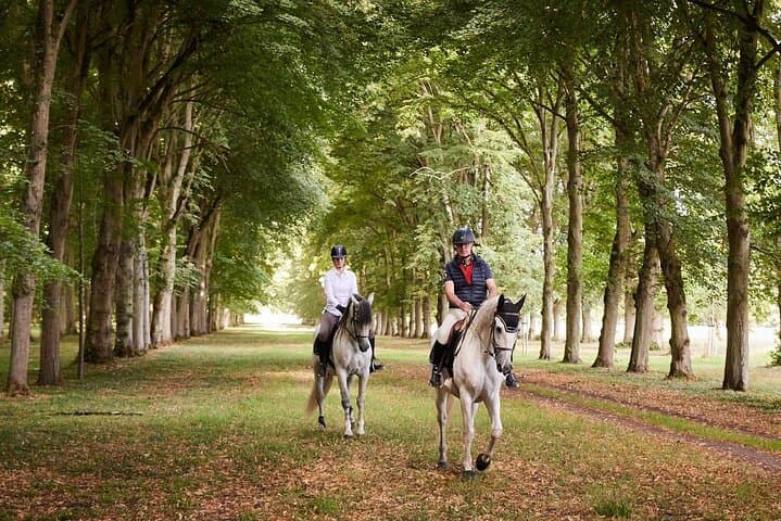 One day at Versaille