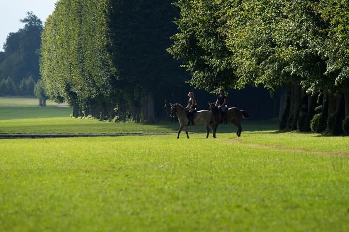 One day at Versaille