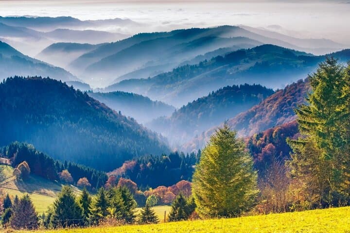 Black Forest Day Trip from Strasbourg: Baden Baden & Wine Route