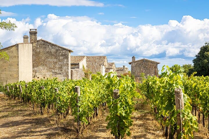 From Bordeaux: Saint‑Émilion Wine & Village Day Trip