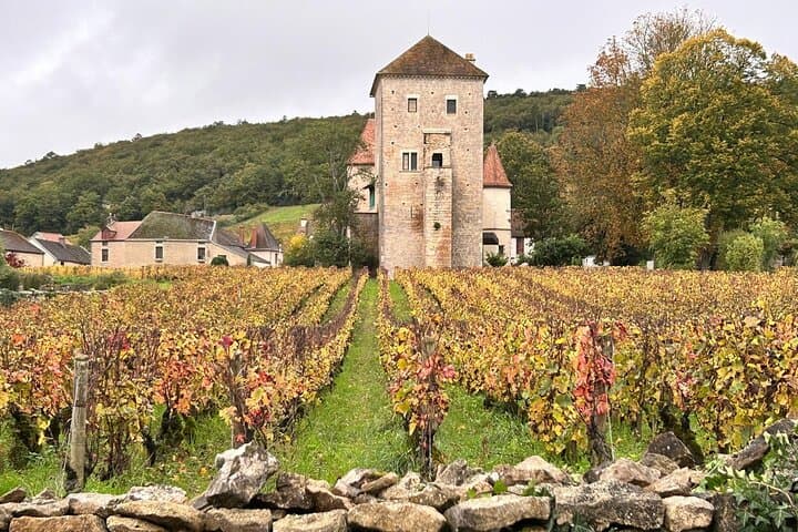 Private full day tour in Burgundy : The Essence of Chablis