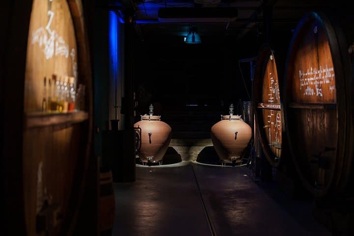 Immersive cellar tour, tasting and picnic basket