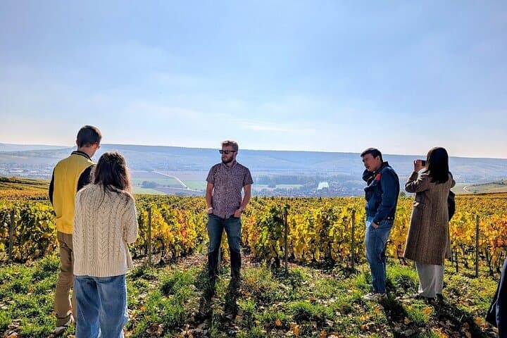 Reims or Epernay: Full day Veuve Clicquot family grower & lunch