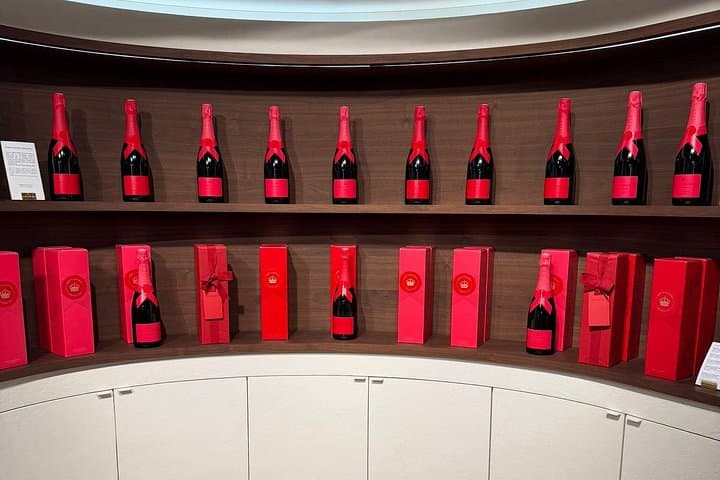 Full day visit of Reims from Paris and champagne tasting