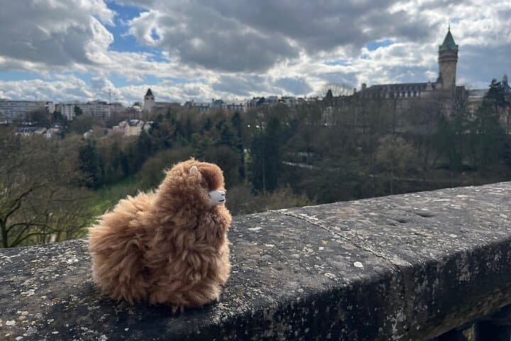 Luxembourg Day Tour from Strasbourg