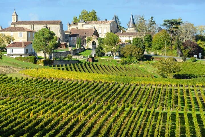 Bordeaux Private Walking Tour with a Local