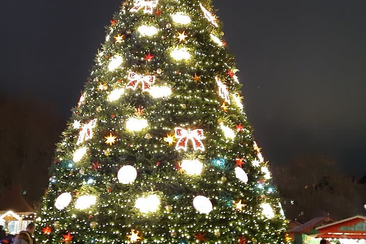 Christmas tree Place DE la République