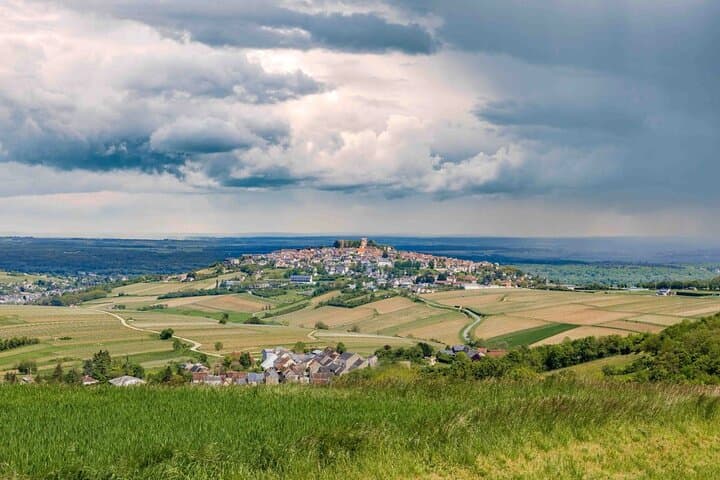 Sancerre VIP Wine Day from Paris: 8 Tastings & Premium Lunch