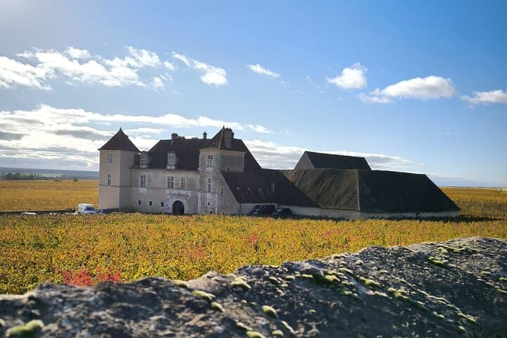 Private full day gourmet & wine tour : Burgundy Delights