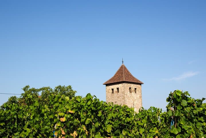 Private Full-Day Wine Heritage Tour from Strasbourg in Alsace