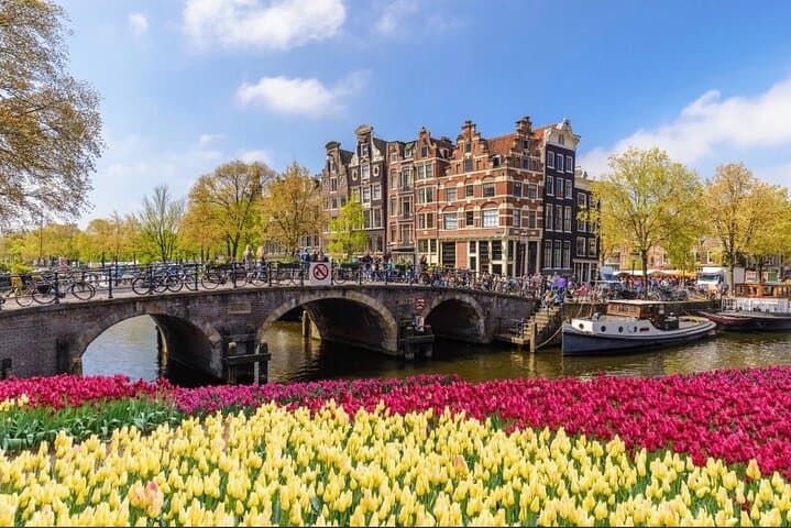Private Transfer Paris to Amsterdam with Multilingual Driver