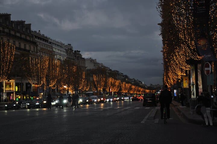 Paris visits Christmas lights on board a cab bike