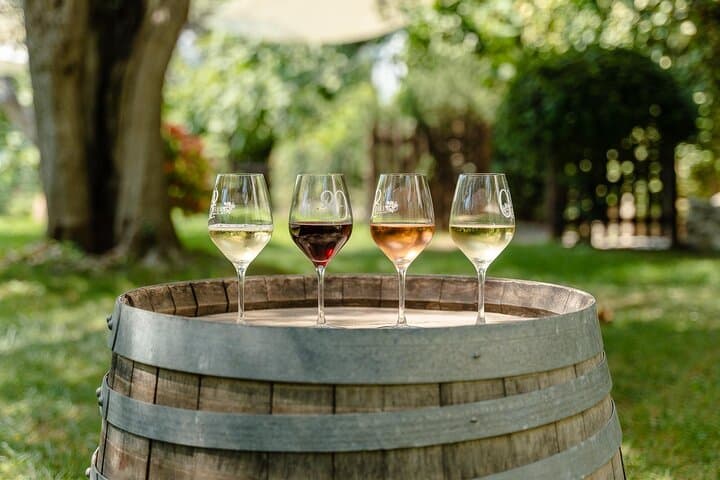 Cannes, Wine tasting, Provencal market & Countryside Private Tour