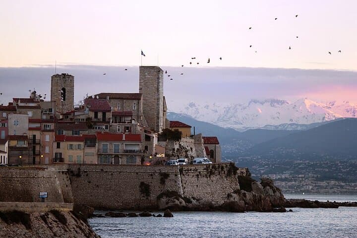 Private tour of Monaco, Cannes and Eze from Nice