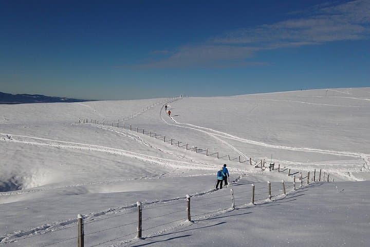 Snowshoeing trip near Annecy