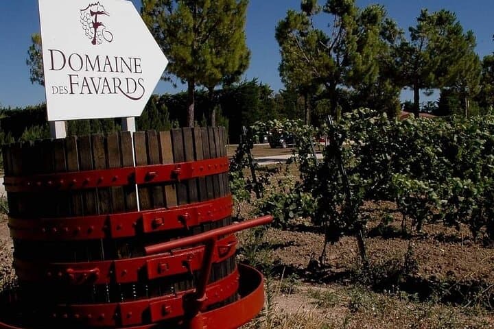 Domaine_des_favards_solex_tasting_wines