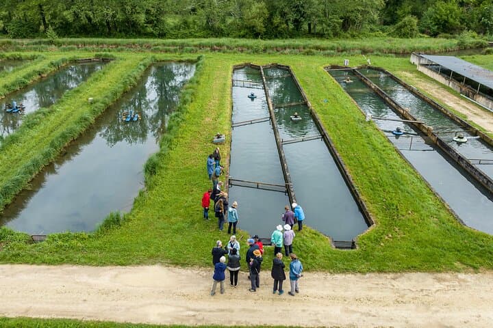 Sarlat : Caviar Farm Tour with Tastings and Pickup by Exploreo24