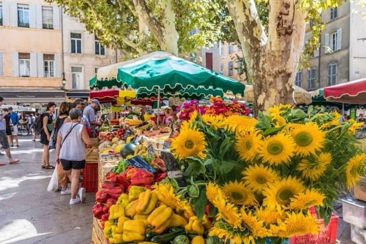 Marseille, Aix-en-Provence, Cassis Private/Semi-Private Day Tour