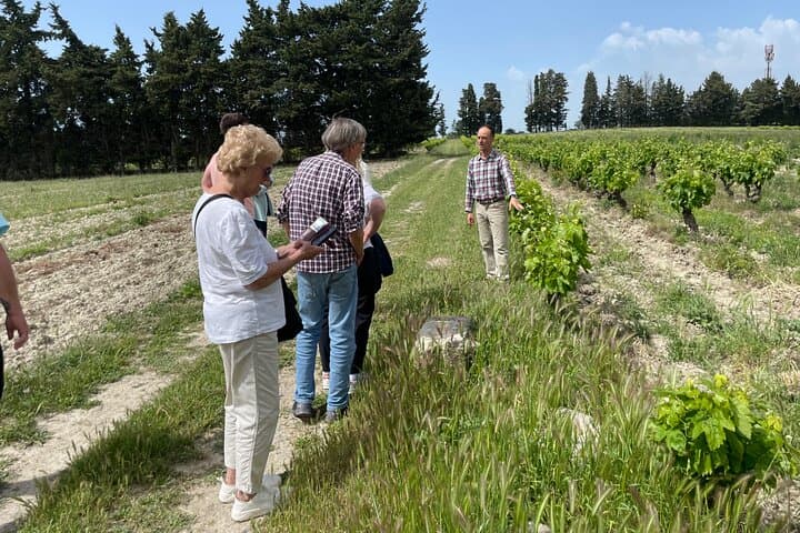 Full Day Wine Tasting Tour in Chateauneuf du Pape