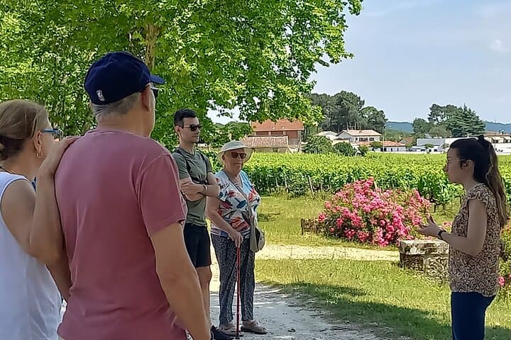 Bordeaux Wine Tour Vert Bordeaux off the beaten path Pessac-Léognan Graves