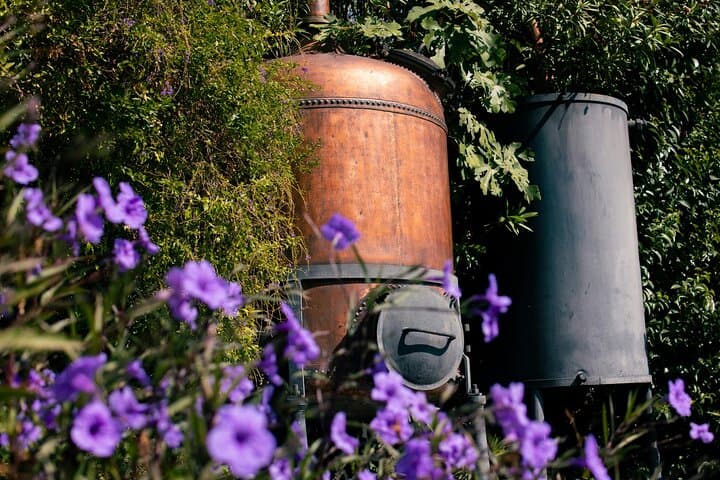 The Alchemy of Perfume A History of Transformation