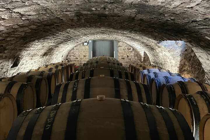 Chablis-Burgundy Private Wine Day from Paris: 8 Tastings & Lunch