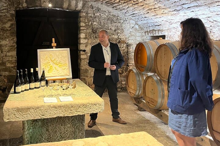 Chablis-Burgundy Private Wine Day from Paris: 8 Tastings & Lunch